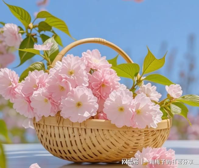 有早点发现这十款！简直太好用了！k8凯发护手霜哪个牌子好？后悔没(图6)