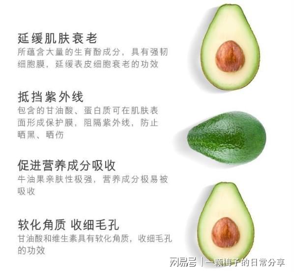 有早点发现这十款！简直太好用了！k8凯发护手霜哪个牌子好？后悔没(图9)